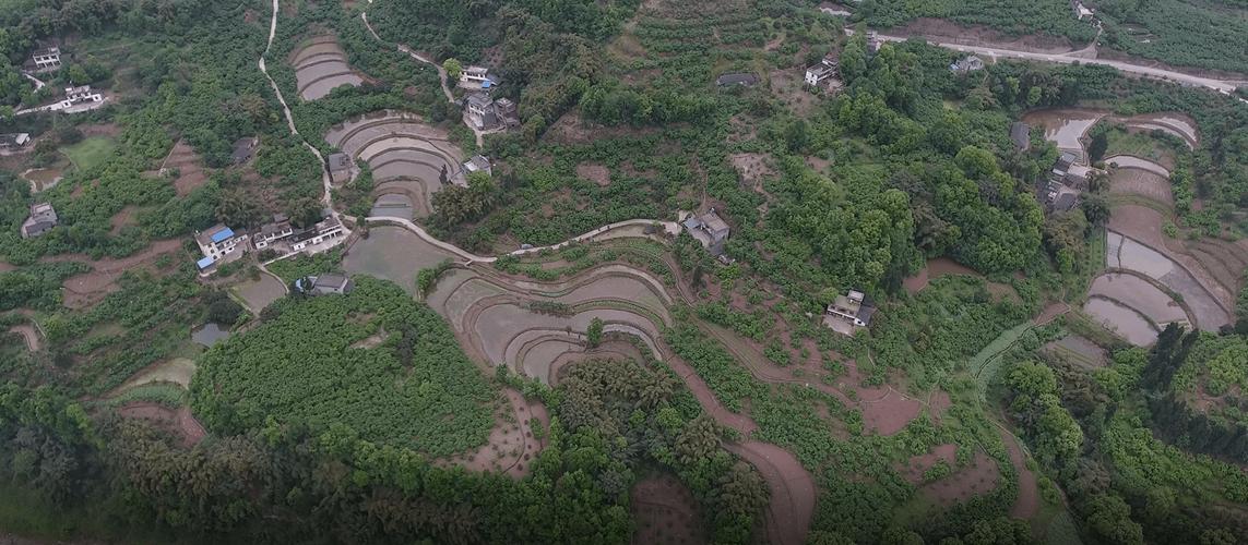 合江佛荫碗顶山海拔?尧坝到先市多少公里-图1 合江佛荫碗顶山海拔?尧坝到先市多少公里-图1