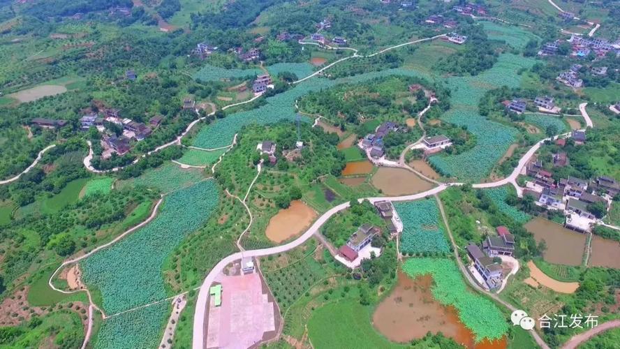 合江佛荫碗顶山海拔?尧坝到先市多少公里-图3 合江佛荫碗顶山海拔?尧坝到先市多少公里-图3