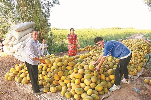 6539身份证号码开头是哪里?伽师县玉代克力克乡人口多少-图2 6539身份证号码开头是哪里?伽师县玉代克力克乡人口多少-图2