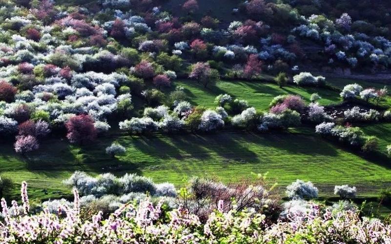 伊犁桃花沟景区?吐尔根乡到新源县多少公里-图3 伊犁桃花沟景区?吐尔根乡到新源县多少公里-图3
