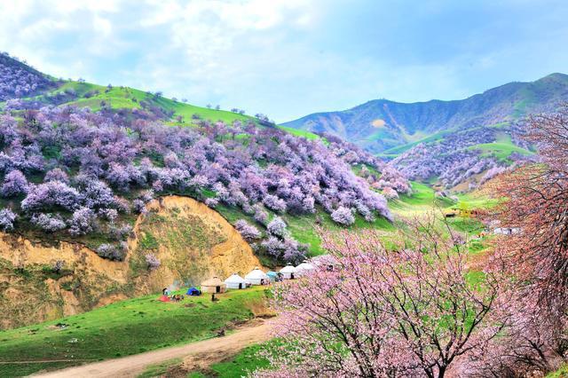 伊犁桃花沟景区?吐尔根乡到新源县多少公里-图1 伊犁桃花沟景区?吐尔根乡到新源县多少公里-图1
