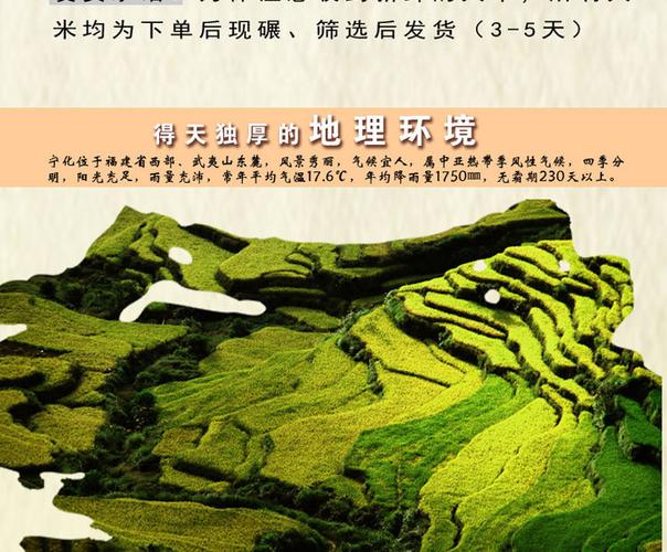 贡米是什么米?三明宁化河龙邮政编码是多少-图2 贡米是什么米?三明宁化河龙邮政编码是多少-图2