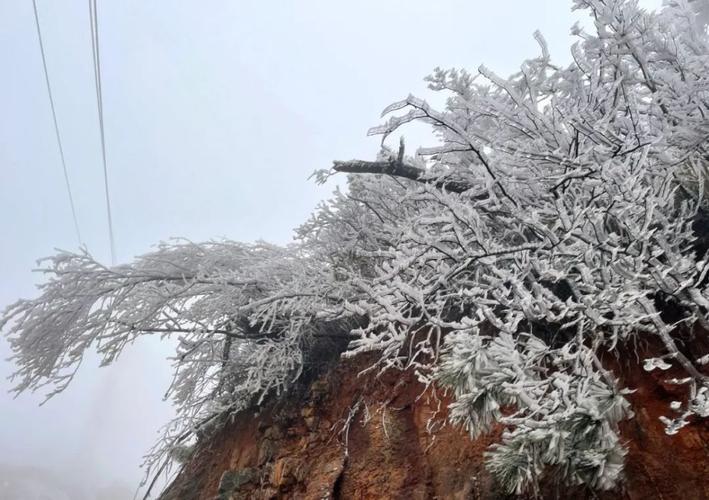 清远连州下雪了吗?连州市温度是多少-图1 清远连州下雪了吗?连州市温度是多少-图1