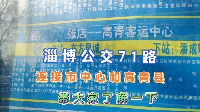 山东山区分布?淄博到午山园的公交车多少路-图1 山东山区分布?淄博到午山园的公交车多少路-图1
