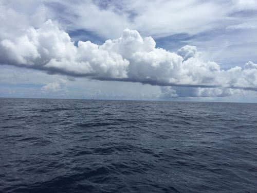 海南三沙市冬天天气是什么样的?三沙最低气温是多少度-图1 海南三沙市冬天天气是什么样的?三沙最低气温是多少度-图1