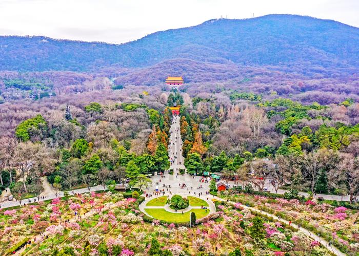 前湖公园要门票吗?明孝陵梅花山门票多少钱-图2 前湖公园要门票吗?明孝陵梅花山门票多少钱-图2