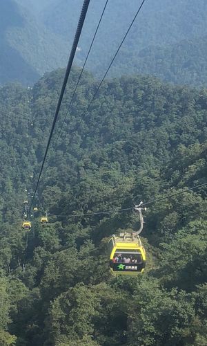 梵净山坐缆车到红云金顶要爬多久?从梵净山缆车终点到山顶需多少时间-图3 梵净山坐缆车到红云金顶要爬多久?从梵净山缆车终点到山顶需多少时间-图3