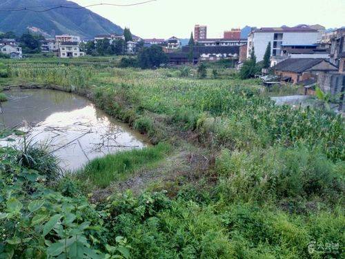 安化的前乡后乡主要是指哪些地方?安化到仙溪镇有多少公里-图3 安化的前乡后乡主要是指哪些地方?安化到仙溪镇有多少公里-图3