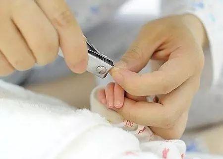 幼儿剪指甲的正确方法?胎儿多少周分五指-图1 幼儿剪指甲的正确方法?胎儿多少周分五指-图1