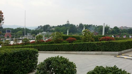 金边瑞金怕冻吗?江西瑞金冬天最冷多少度-图1 金边瑞金怕冻吗?江西瑞金冬天最冷多少度-图1