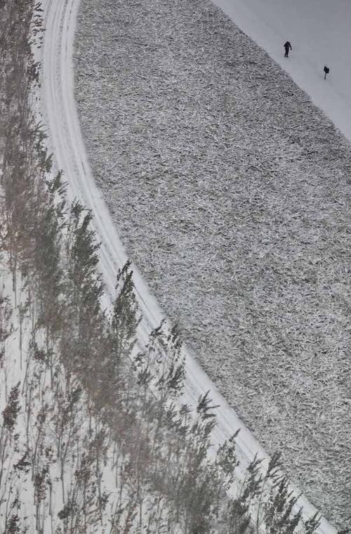 河北秦皇岛冬天最冷的时候温度是多少度?冬天下雪多不多?为什么?河北秦皇岛现在多少度-图2 河北秦皇岛冬天最冷的时候温度是多少度?冬天下雪多不多?为什么?河北秦皇岛现在多少度-图2