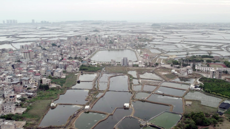 福建漳州漳浦县都有哪些镇?漳浦佛昙镇总人口有多少-图2 福建漳州漳浦县都有哪些镇?漳浦佛昙镇总人口有多少-图2