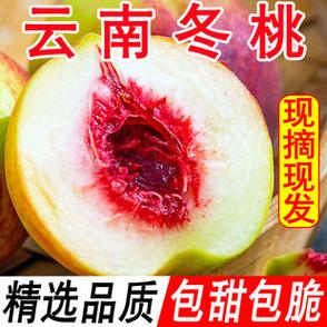 宾川县的地方特产?宾川冬桃多少钱-图3 宾川县的地方特产?宾川冬桃多少钱-图3