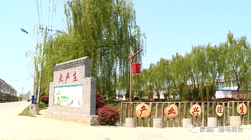 安徽毫州有几个村?分别都叫啥名字?说出来几个就可以?蒙城乐土会是多少号-图2 安徽毫州有几个村?分别都叫啥名字?说出来几个就可以?蒙城乐土会是多少号-图2