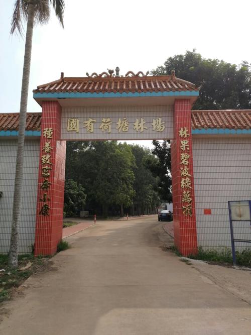 株洲市有几个区?广东高州荷塘镇有多少人口-图3 株洲市有几个区?广东高州荷塘镇有多少人口-图3