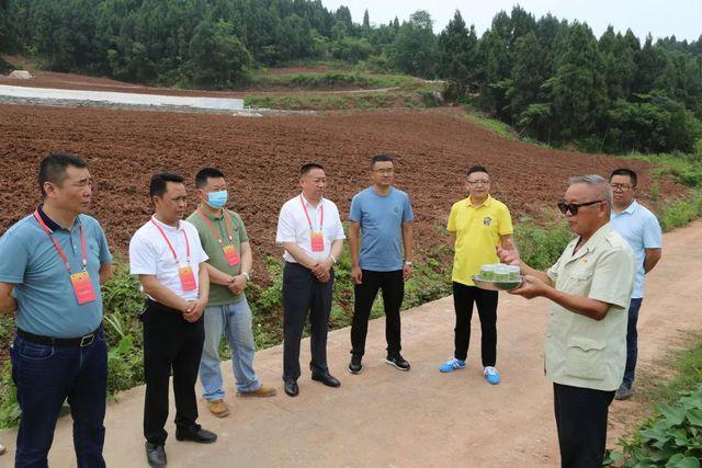 四川省遂宁市安居区东禅镇木鱼庙村邮编是什么?遂宁到东禅多少钱-图3 四川省遂宁市安居区东禅镇木鱼庙村邮编是什么?遂宁到东禅多少钱-图3