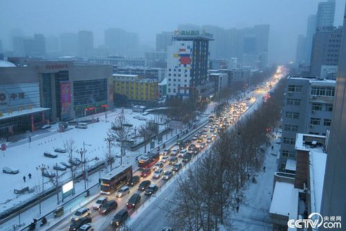许昌路上有积雪吗?许昌最低气温多少度-图2 许昌路上有积雪吗?许昌最低气温多少度-图2