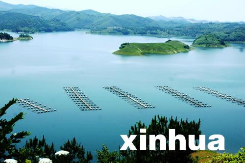 丹江口水库海拔?丹江口的海拔高度是多少米-图1 丹江口水库海拔?丹江口的海拔高度是多少米-图1