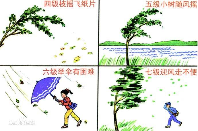 四川常年吹的什么风?成都最大的风达到多少级-图2 四川常年吹的什么风?成都最大的风达到多少级-图2