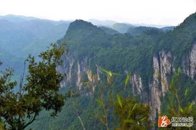 桑植县官地坪镇将建通用飞机场?官地坪到桑植班车多少钱-图1 桑植县官地坪镇将建通用飞机场?官地坪到桑植班车多少钱-图1