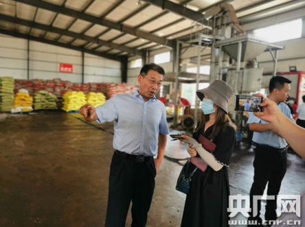 你知道项城李寨那边结婚风俗习惯吗?河南省项城市李寨镇邮政编码是多少-图3 你知道项城李寨那边结婚风俗习惯吗?河南省项城市李寨镇邮政编码是多少-图3