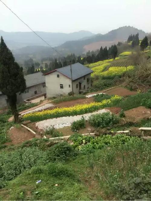 南充市嘉陵区西兴真武宫村到一立乡太平沟有多少公里?嘉陵区一立镇有多少人口-图3 南充市嘉陵区西兴真武宫村到一立乡太平沟有多少公里?嘉陵区一立镇有多少人口-图3