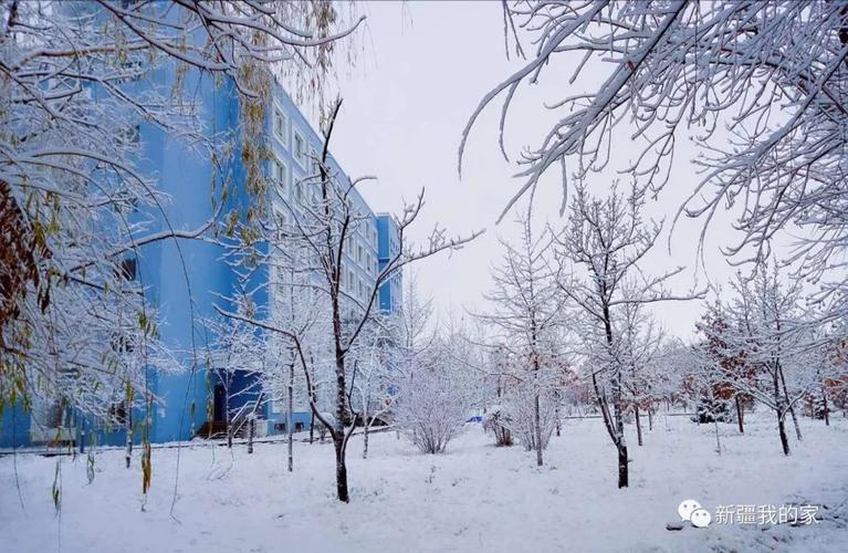 伊犁师范学院所在地冬季气温?霍城县气温是多少-图3 伊犁师范学院所在地冬季气温?霍城县气温是多少-图3