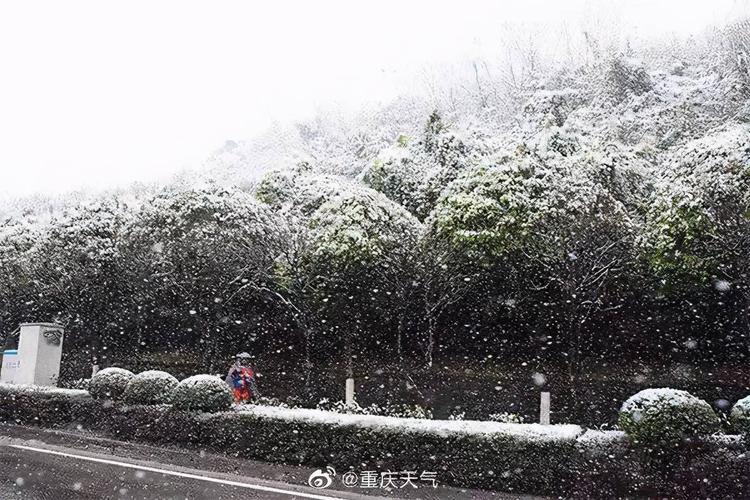 重庆至今哪一年冬天最冷?重庆冬天12月大概多少度-图1 重庆至今哪一年冬天最冷?重庆冬天12月大概多少度-图1