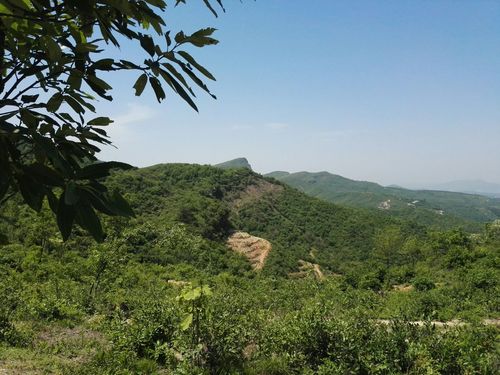 阜新市境内的河流?阜新市到蜘蛛山多少公里-图2 阜新市境内的河流?阜新市到蜘蛛山多少公里-图2