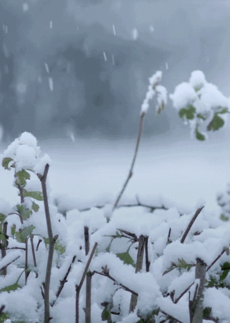 白云区哪里可以看雪?广州白云区冬天最冷多少度-图3 白云区哪里可以看雪?广州白云区冬天最冷多少度-图3