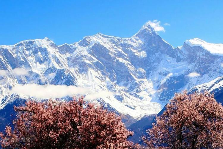 林芝旅游景点海拔多少?加查海拔是多少米-图1 林芝旅游景点海拔多少?加查海拔是多少米-图1