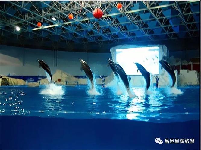 蓬莱海底世界下雨可以去么?蓬莱极地海洋世界温度多少-图2 蓬莱海底世界下雨可以去么?蓬莱极地海洋世界温度多少-图2