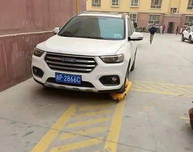 伊宁车牌号是什么开头?新疆伊犁地区号多少-图2 伊宁车牌号是什么开头?新疆伊犁地区号多少-图2