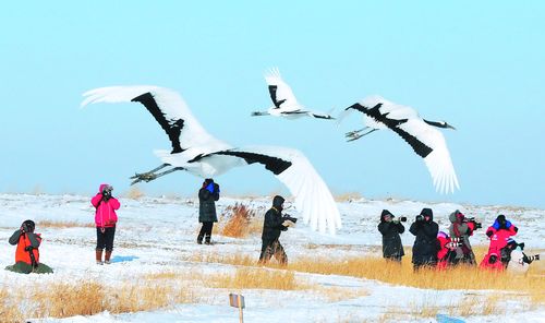 带鹤的地名?汤原到吉祥多少-图2 带鹤的地名?汤原到吉祥多少-图2