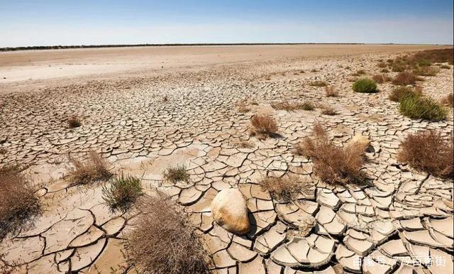 沙漠每天增加多少平方公里?每天有多少土地荒漠化-图1 沙漠每天增加多少平方公里?每天有多少土地荒漠化-图1