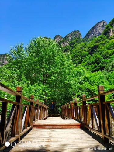 8月中旬适合哪里旅游？青峰峡明天温度多少-图1