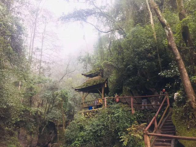 青城山8月热不?青城后山现在多少度-图1 青城山8月热不?青城后山现在多少度-图1