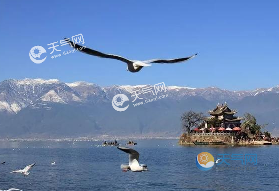 大理冬天多少度?大理冬天气温大概多少度-图1 大理冬天多少度?大理冬天气温大概多少度-图1