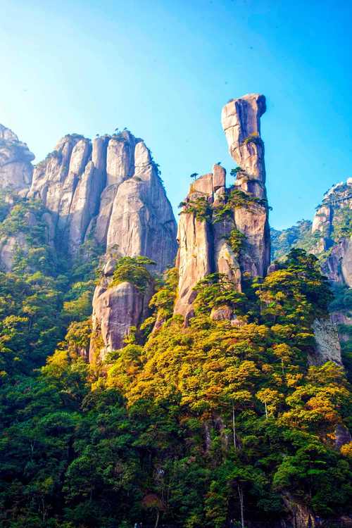 12月份去三清山会不会太冷?三清山气温多少-图1 12月份去三清山会不会太冷?三清山气温多少-图1