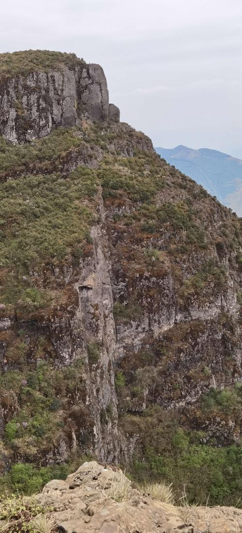 猫猫山风景区介绍?彝良海子镇海拔多少-图1 猫猫山风景区介绍?彝良海子镇海拔多少-图1
