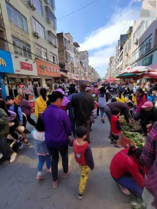 广西北流市六靖镇有多少人口?化州播扬有多少人口-图3 广西北流市六靖镇有多少人口?化州播扬有多少人口-图3