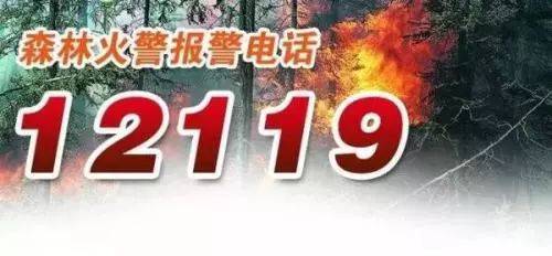 全国统一的森林防火电话?森林火警电话号码多少-图3 全国统一的森林防火电话?森林火警电话号码多少-图3