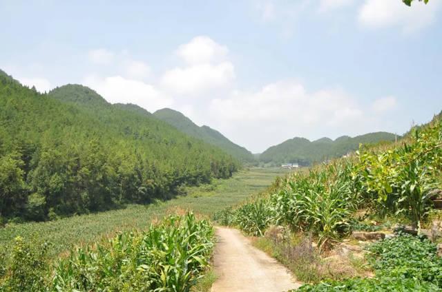 万州茨竹海拔是多?万州茨竹乡有多少个村-图1 万州茨竹海拔是多?万州茨竹乡有多少个村-图1