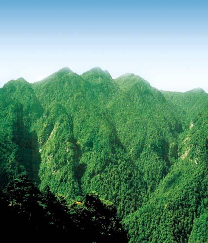 我国的井冈山有多高?井冈山四月天气多少度-图1 我国的井冈山有多高?井冈山四月天气多少度-图1