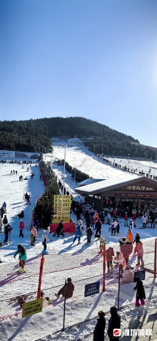 潍坊夏季旅游最佳去处?阳信划雪厂电话多少-图3 潍坊夏季旅游最佳去处?阳信划雪厂电话多少-图3