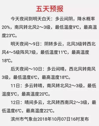 2020年山东滨州气温最低是多少?滨州温度是多少-图1 2020年山东滨州气温最低是多少?滨州温度是多少-图1