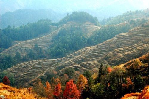 邵阳周边风景最好的地方?泉州罗溪平均多少度-图1 邵阳周边风景最好的地方?泉州罗溪平均多少度-图1