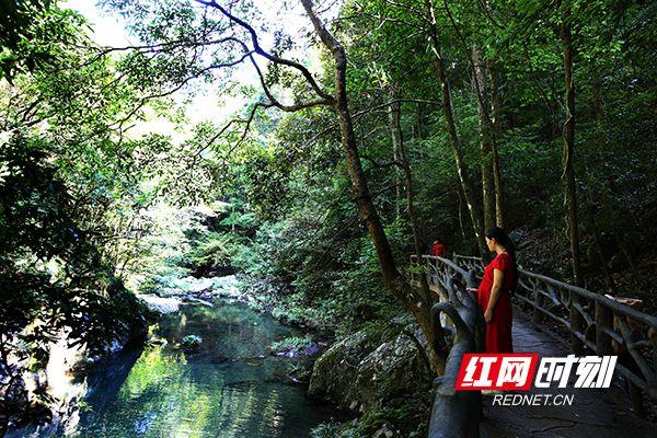 邵阳周边风景最好的地方?泉州罗溪平均多少度-图2 邵阳周边风景最好的地方?泉州罗溪平均多少度-图2