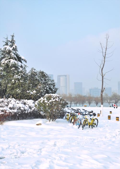 为什么南方几年一次雪?合肥大雪多少年记录-图1 为什么南方几年一次雪?合肥大雪多少年记录-图1