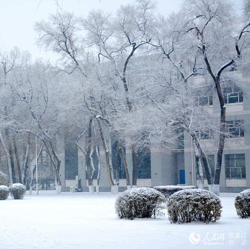 为什么南方几年一次雪?合肥大雪多少年记录-图3 为什么南方几年一次雪?合肥大雪多少年记录-图3